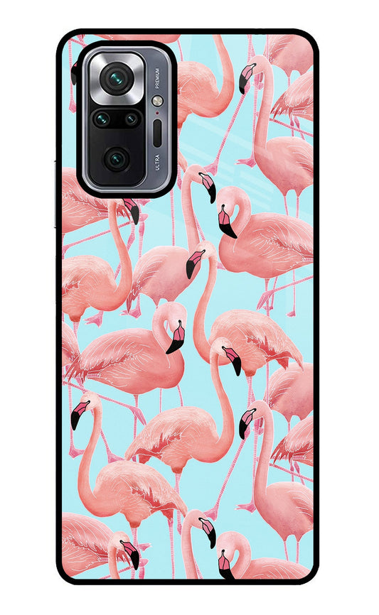 Flamboyance Redmi Note 10 Pro Max Glass Case