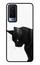 Shadow Gaze Vivo V21E 5G Glass Case
