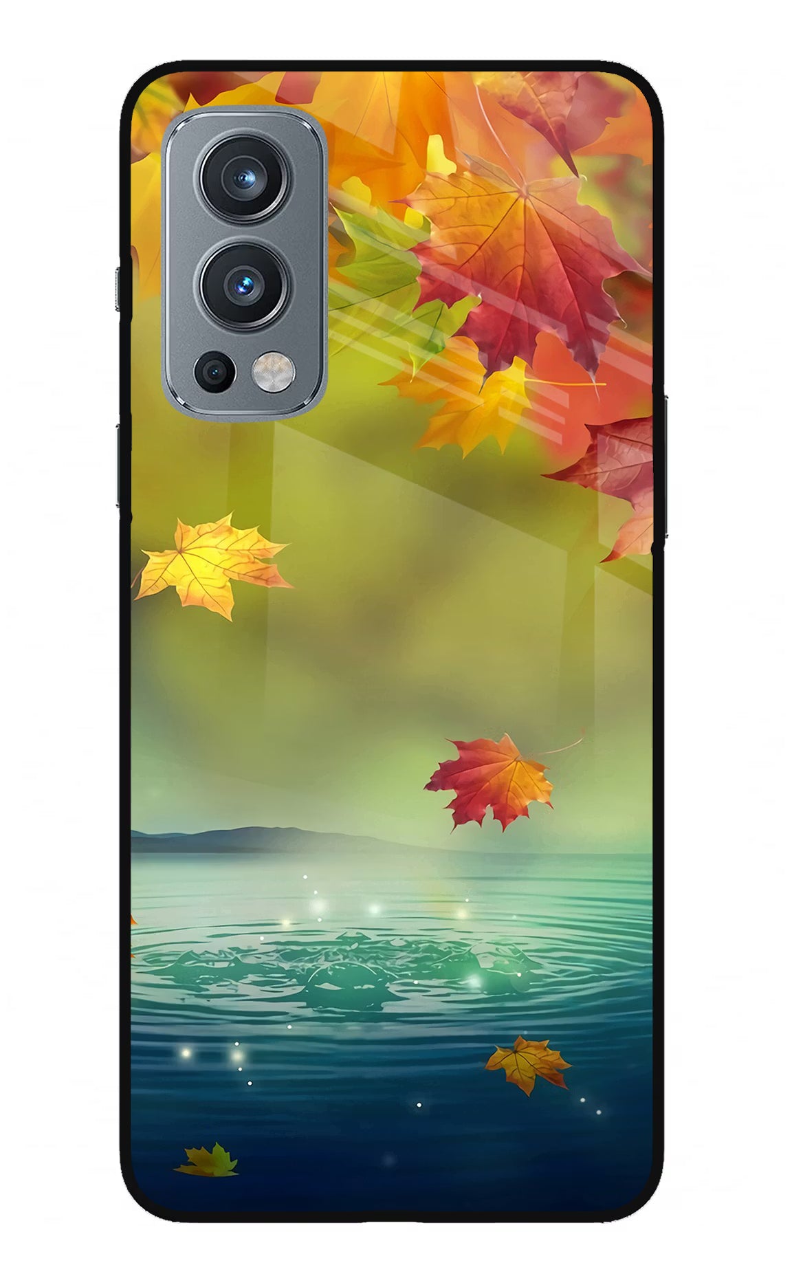 Flowers OnePlus Nord 2 5G Glass Case Back Cover by Casekaro