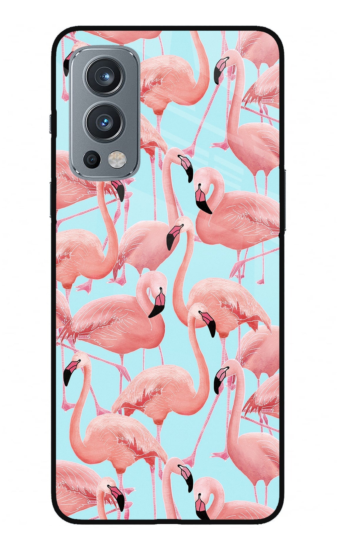 Flamboyance OnePlus Nord 2 5G Glass Case