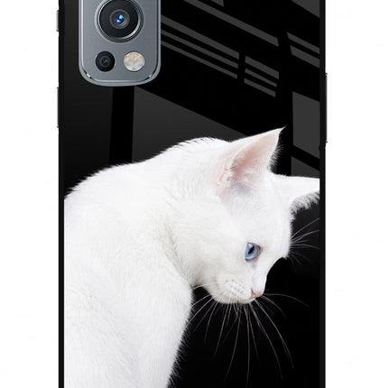 Snow Gaze OnePlus Nord 2 5G Glass Case