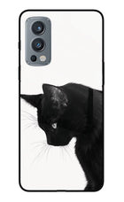 Shadow Gaze OnePlus Nord 2 5G Glass Case