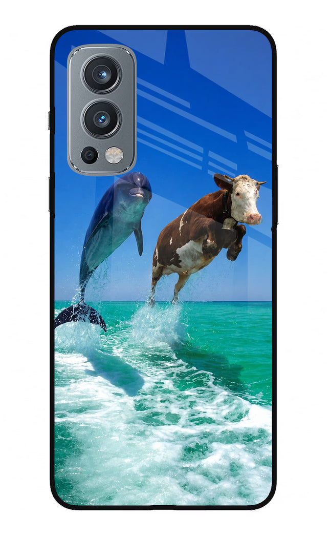 Dolphin vs Cow OnePlus Nord 2 5G Glass Case