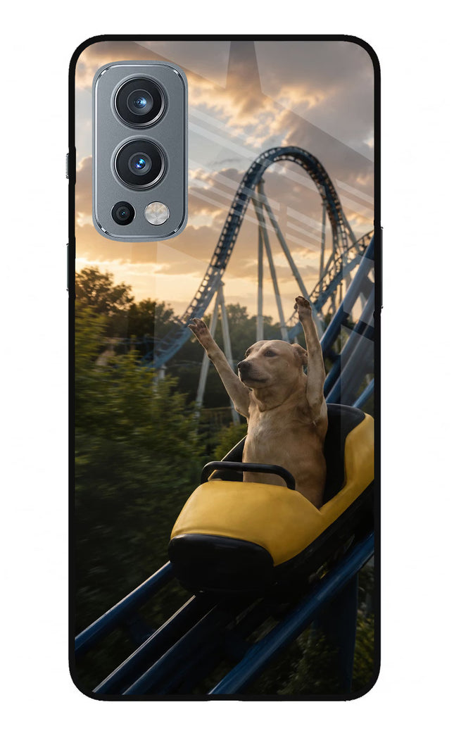 Rollercoaster Dog OnePlus Nord 2 5G Glass Case