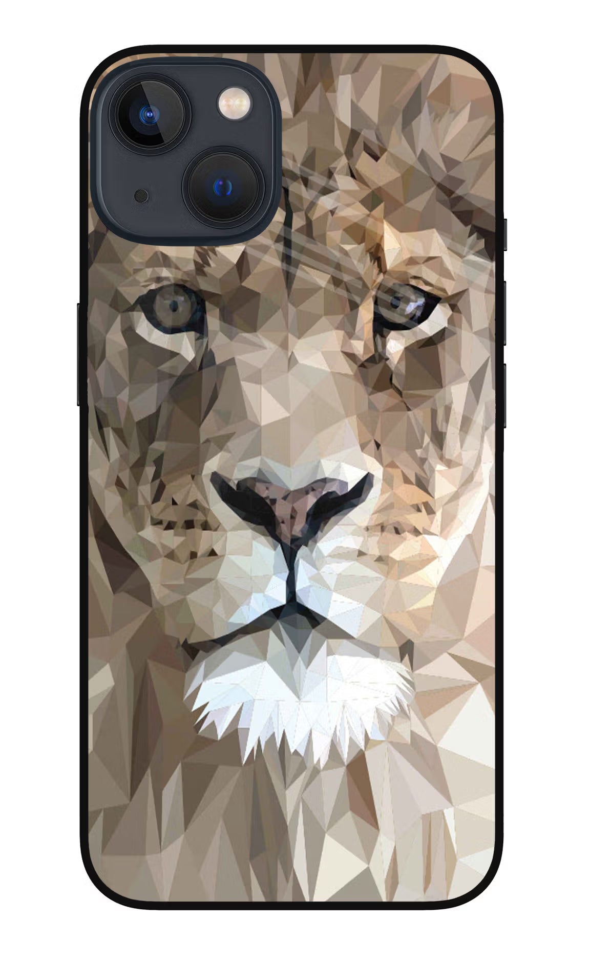 Lion Art iPhone 13 Glass Case Back Cover by Casekaro