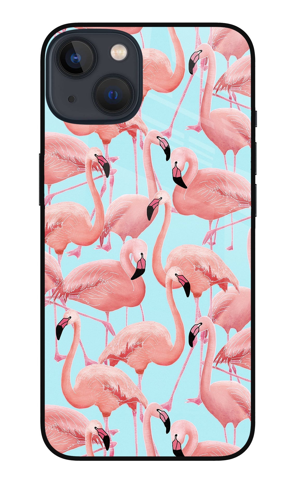 Flamboyance iPhone 13 Glass Case