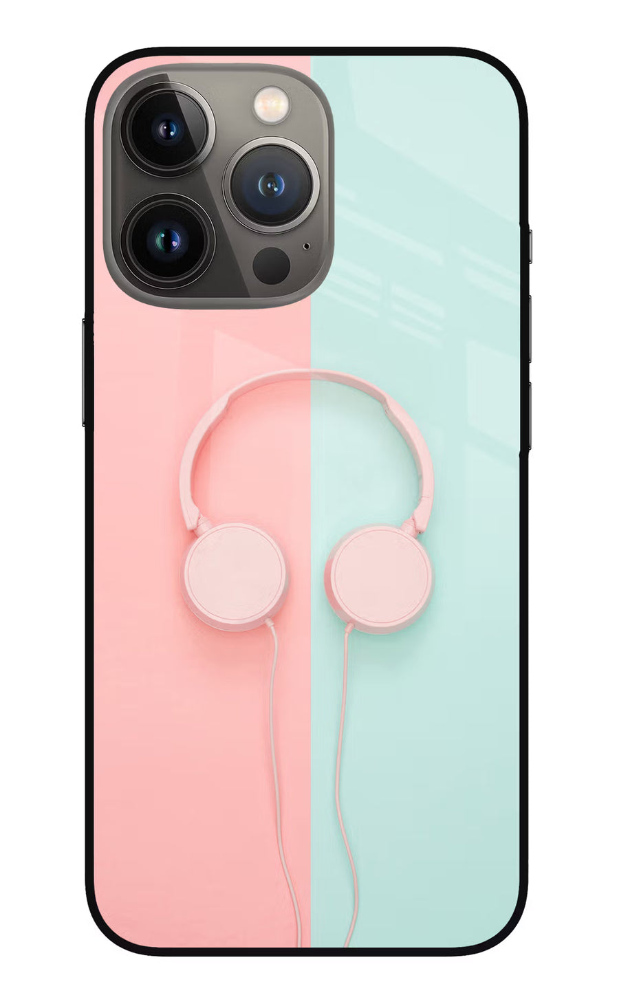 Music Lover iPhone 13 Pro Back Cover, Metal case