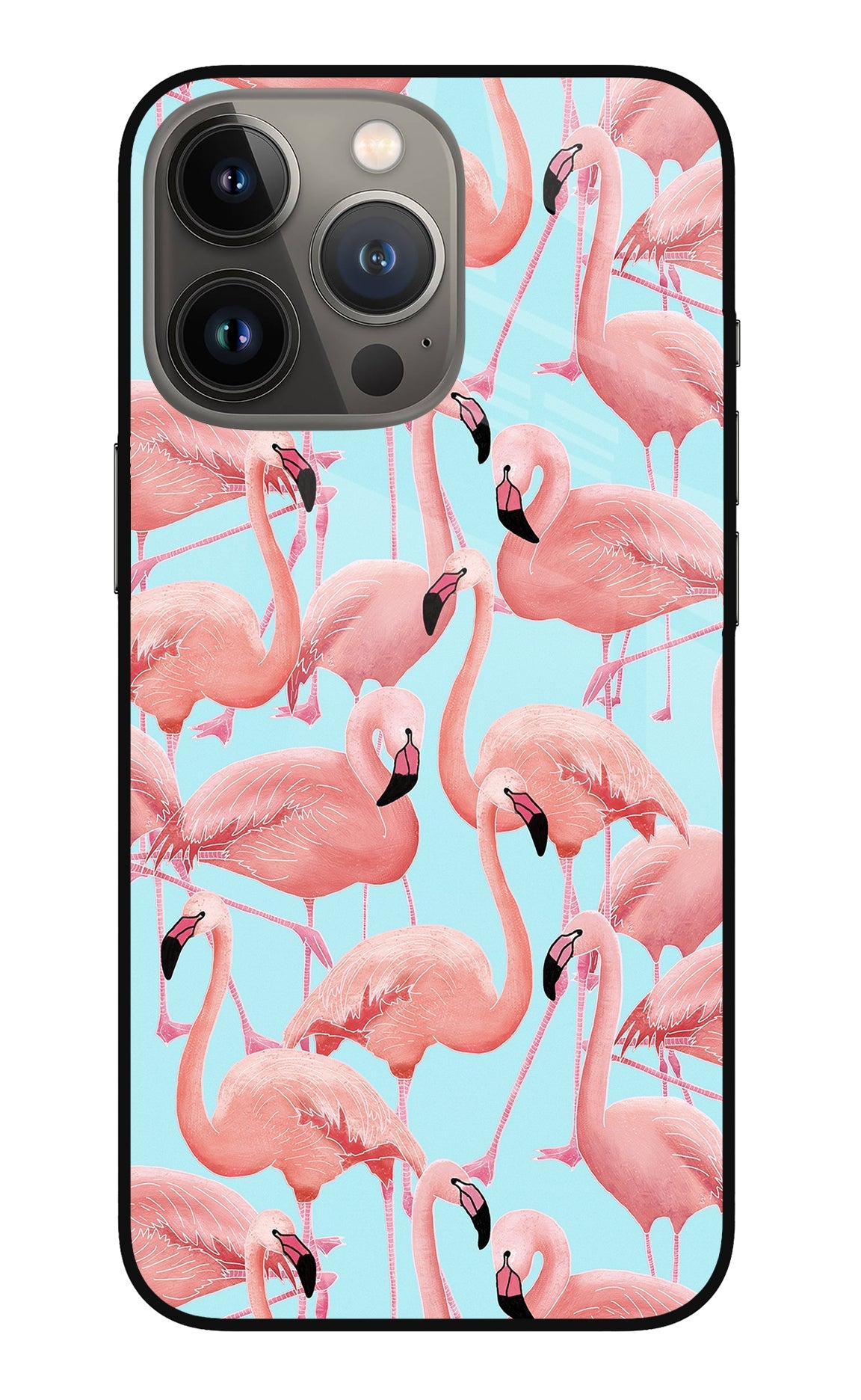 Flamboyance iPhone 13 Pro Back Cover