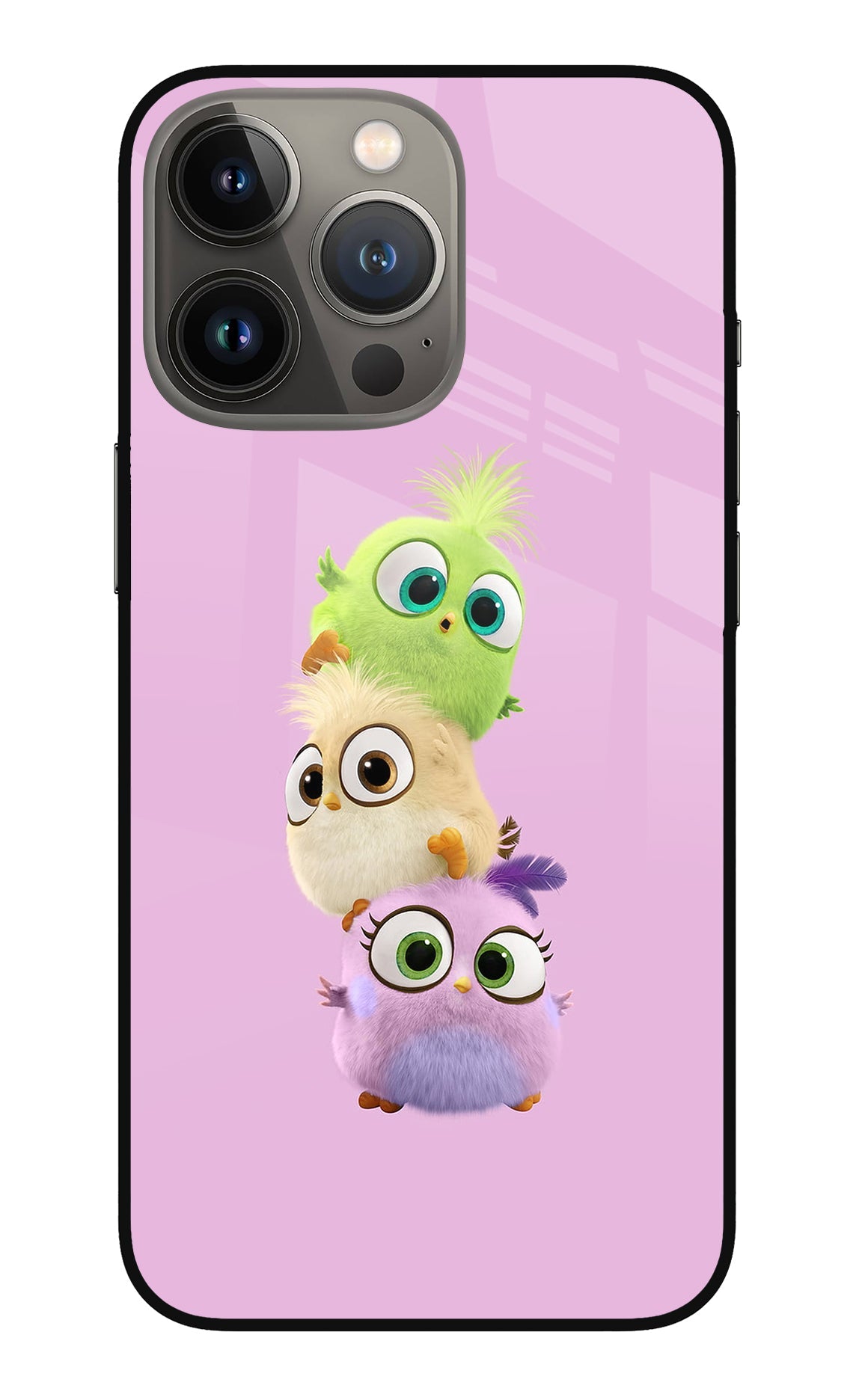 Cute Little Birds iPhone 13 Pro Back Cover