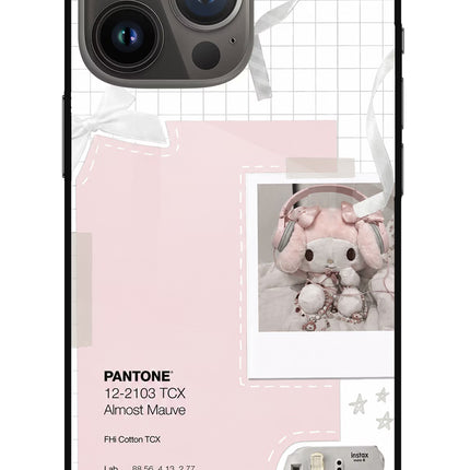 Pantone Asthetic iPhone 13 Pro Glass Case Back Cover by Casekaro