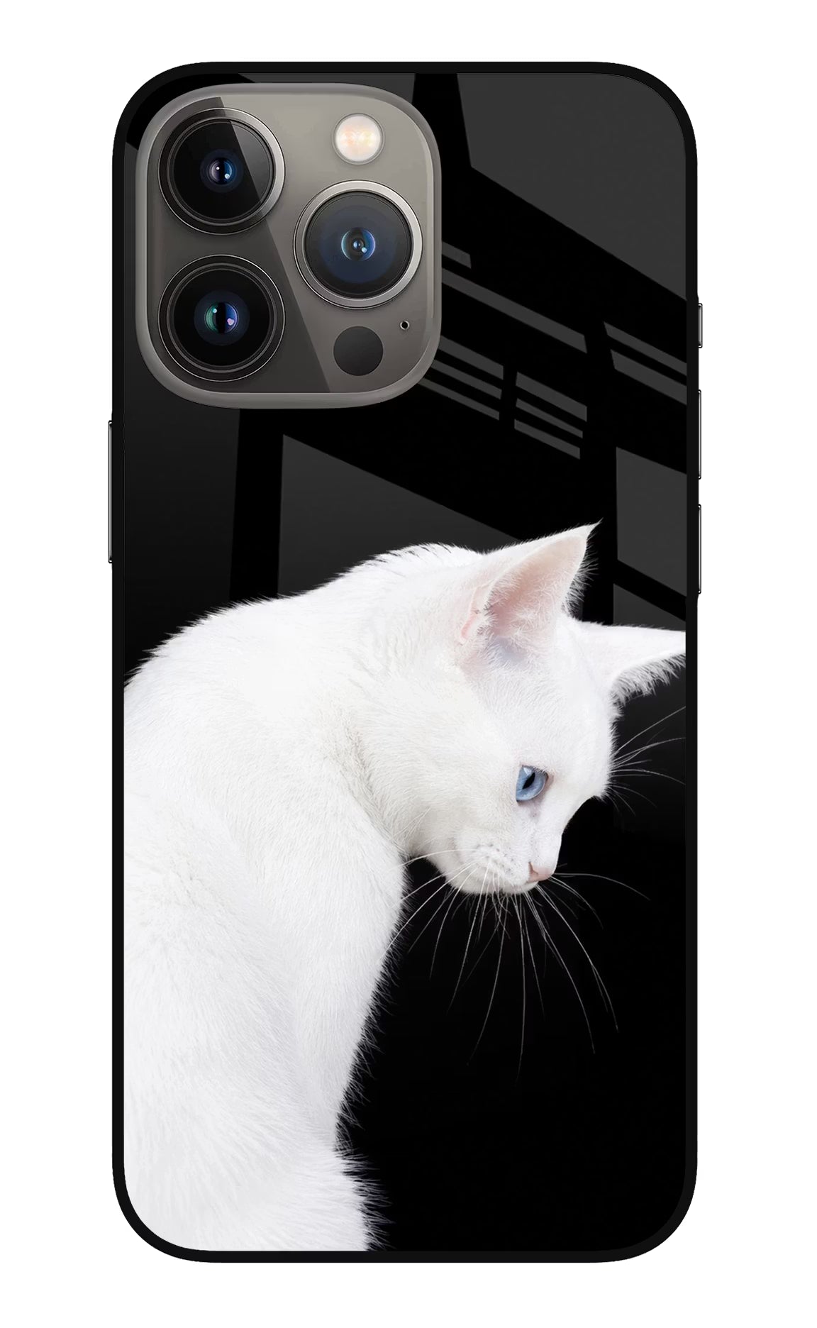 Snow Gaze iPhone 13 Pro Glass Case