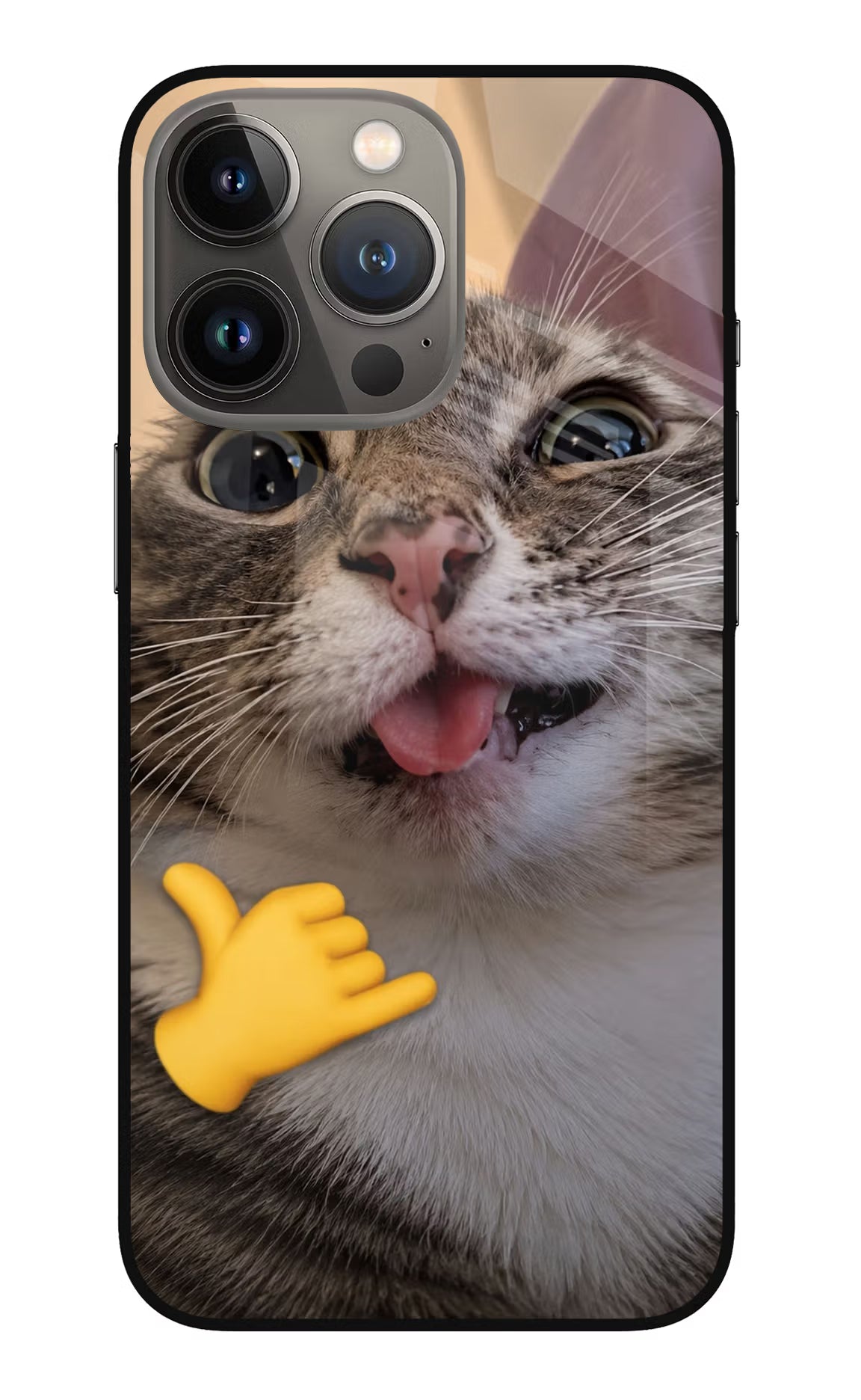 Silly Cat Call iPhone 13 Pro Glass Case