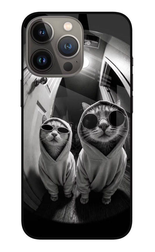 Hood Cats iPhone 13 Pro Glass Case
