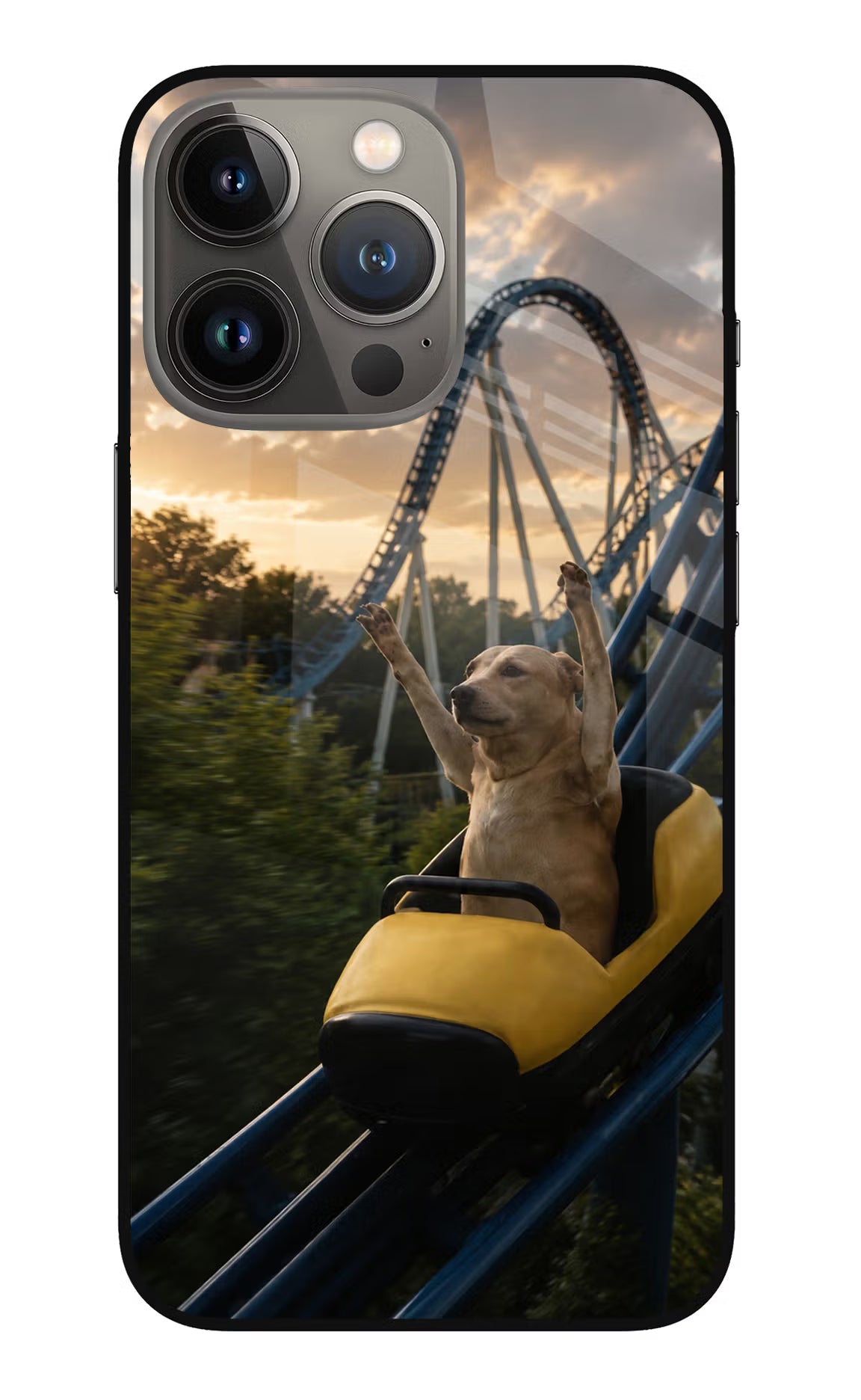 Rollercoaster Dog iPhone 13 Pro Glass Case