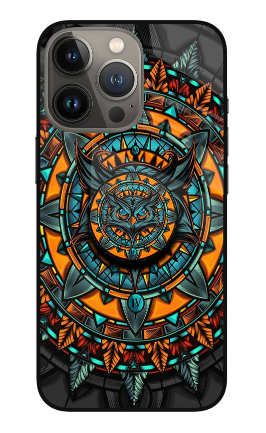 Angry Owl iPhone 13 Pro Glass Case