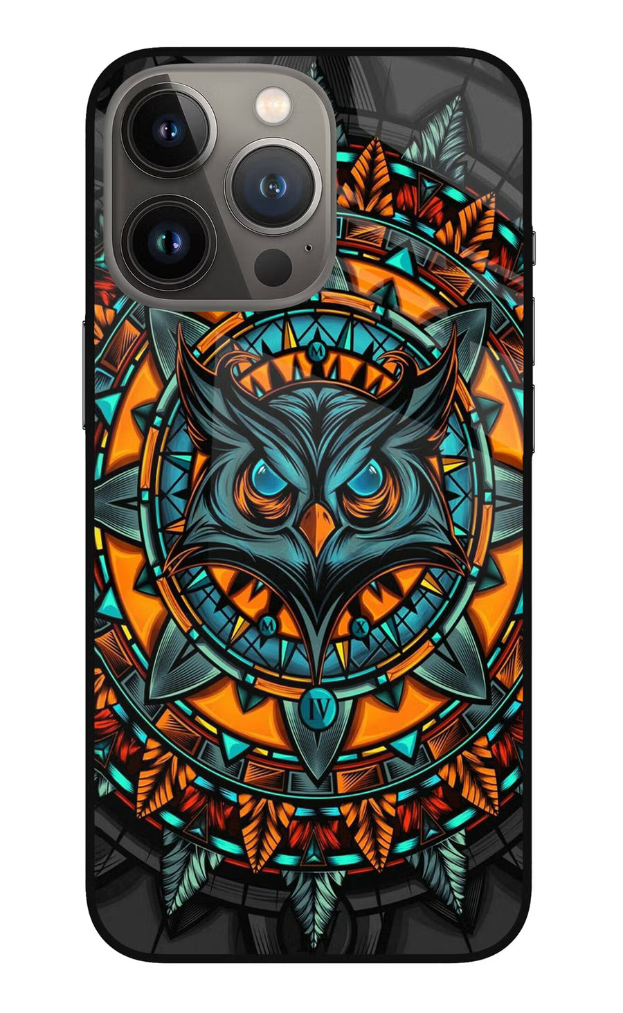 Angry Owl Art iPhone 13 Pro Max Back Cover, Metal case