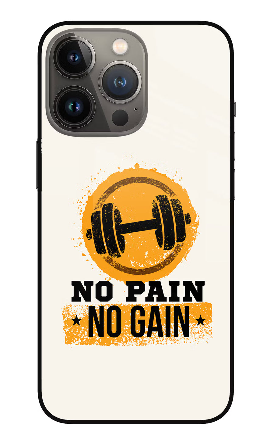 No Pain No Gain iPhone 13 Pro Max Back Cover, Metal case