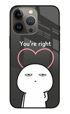 You're Right iPhone 13 Pro Max Glass Case