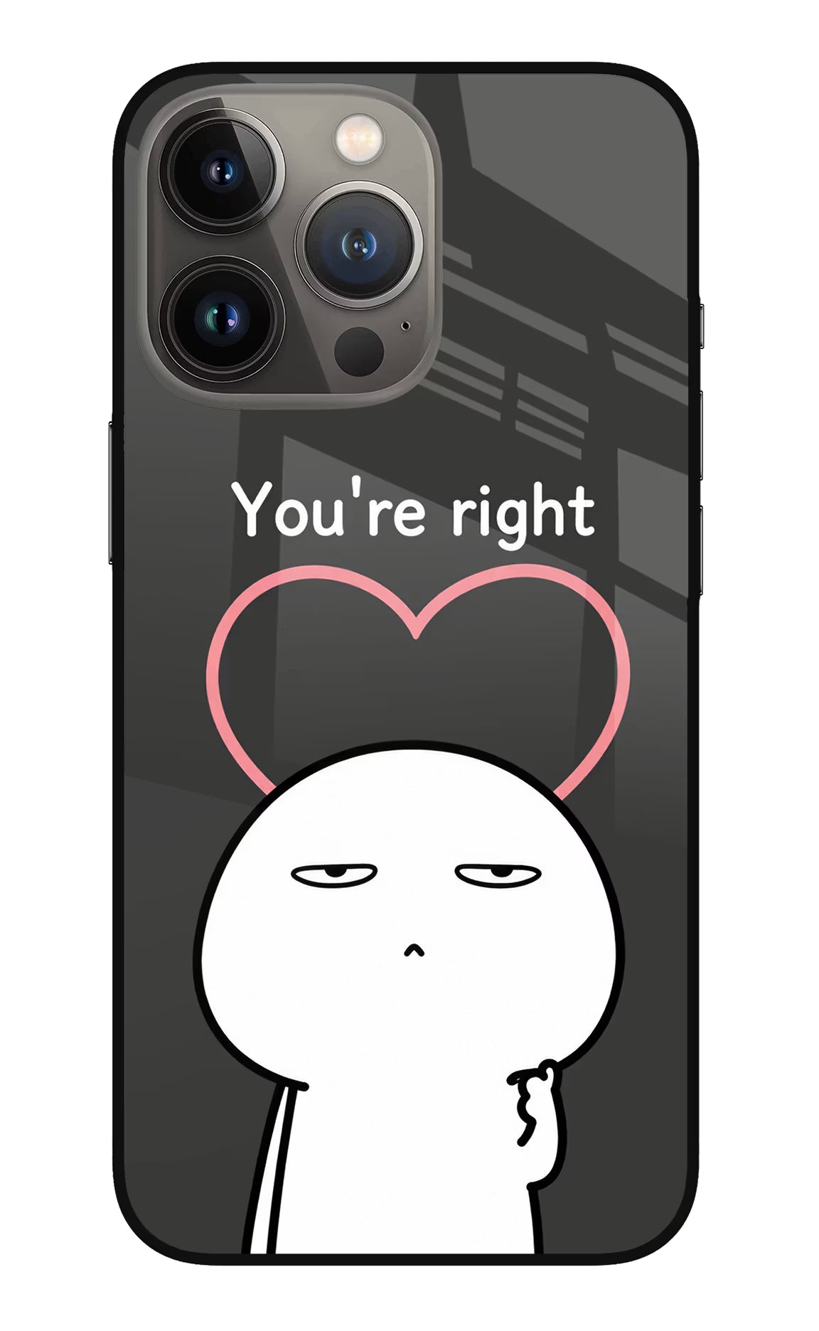 You're Right iPhone 13 Pro Max Glass Case