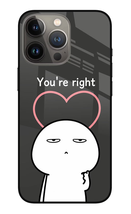You're Right iPhone 13 Pro Max Glass Case