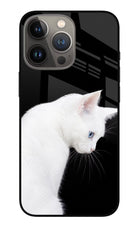 Snow Gaze iPhone 13 Pro Max Glass Case