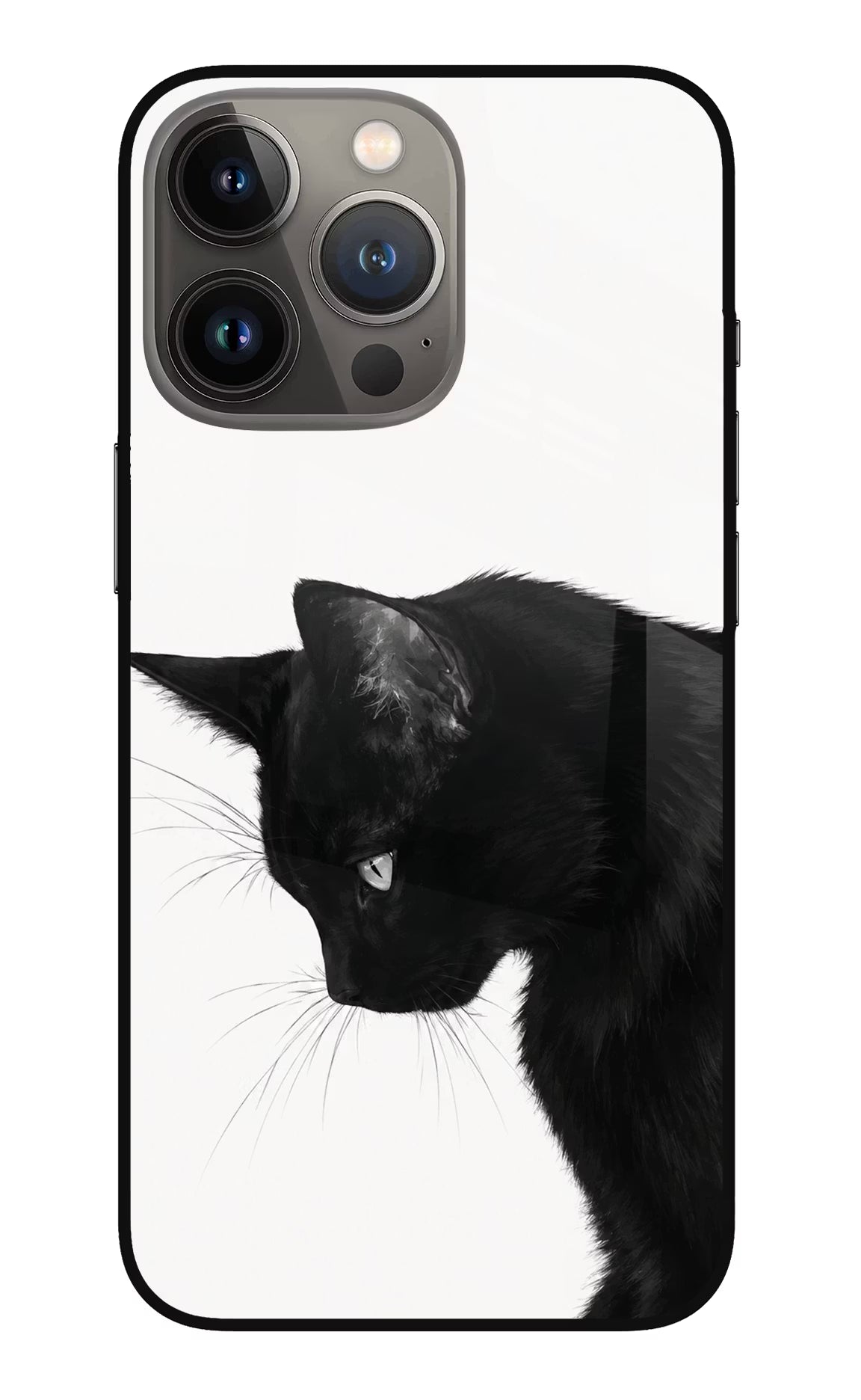 Shadow Gaze iPhone 13 Pro Max Glass Case