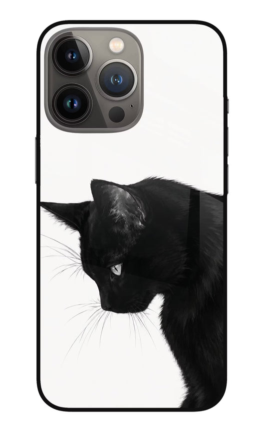 Shadow Gaze iPhone 13 Pro Max Glass Case