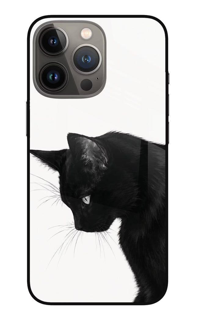 Shadow Gaze iPhone 13 Pro Max Glass Case