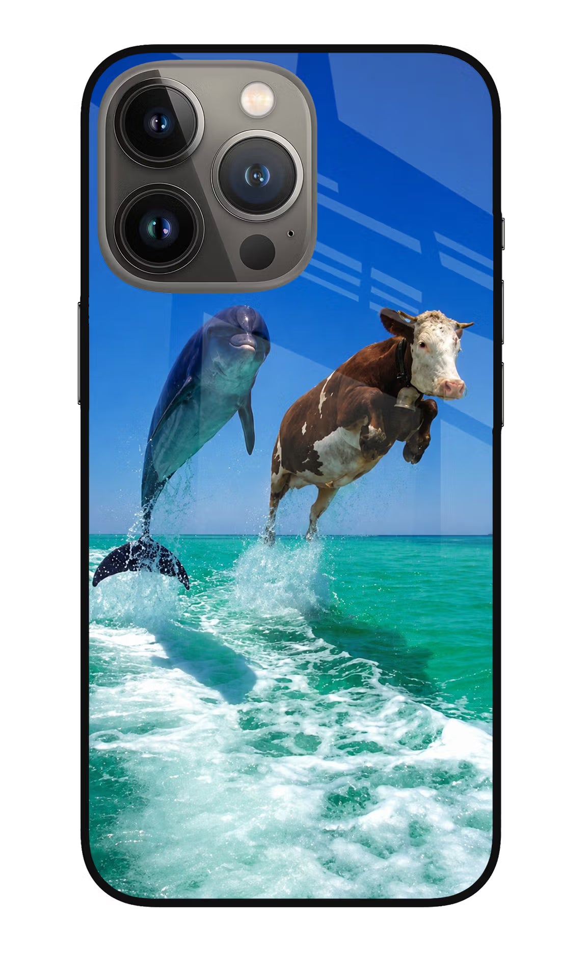 Dolphin vs Cow iPhone 13 Pro Max Glass Case