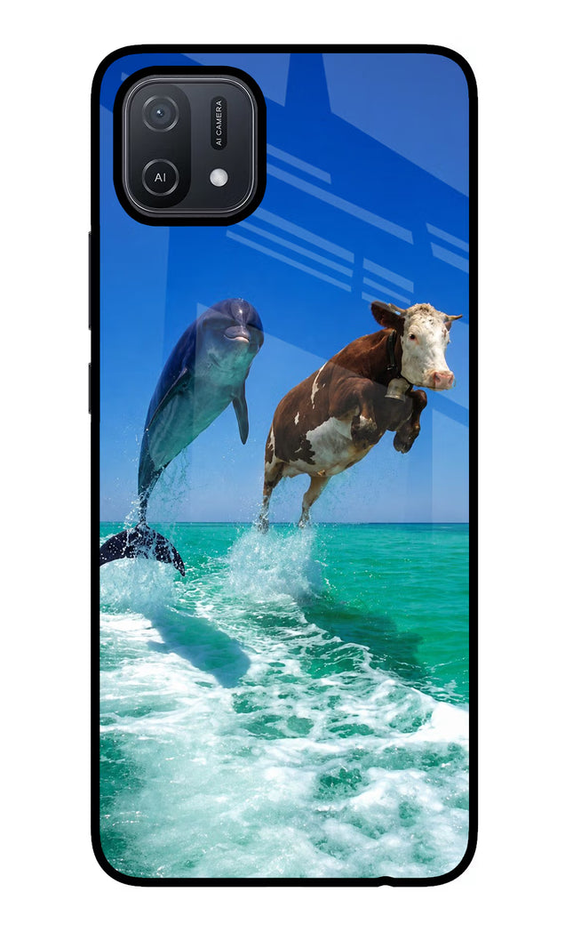 Dolphin vs Cow Oppo A16 Glass Case