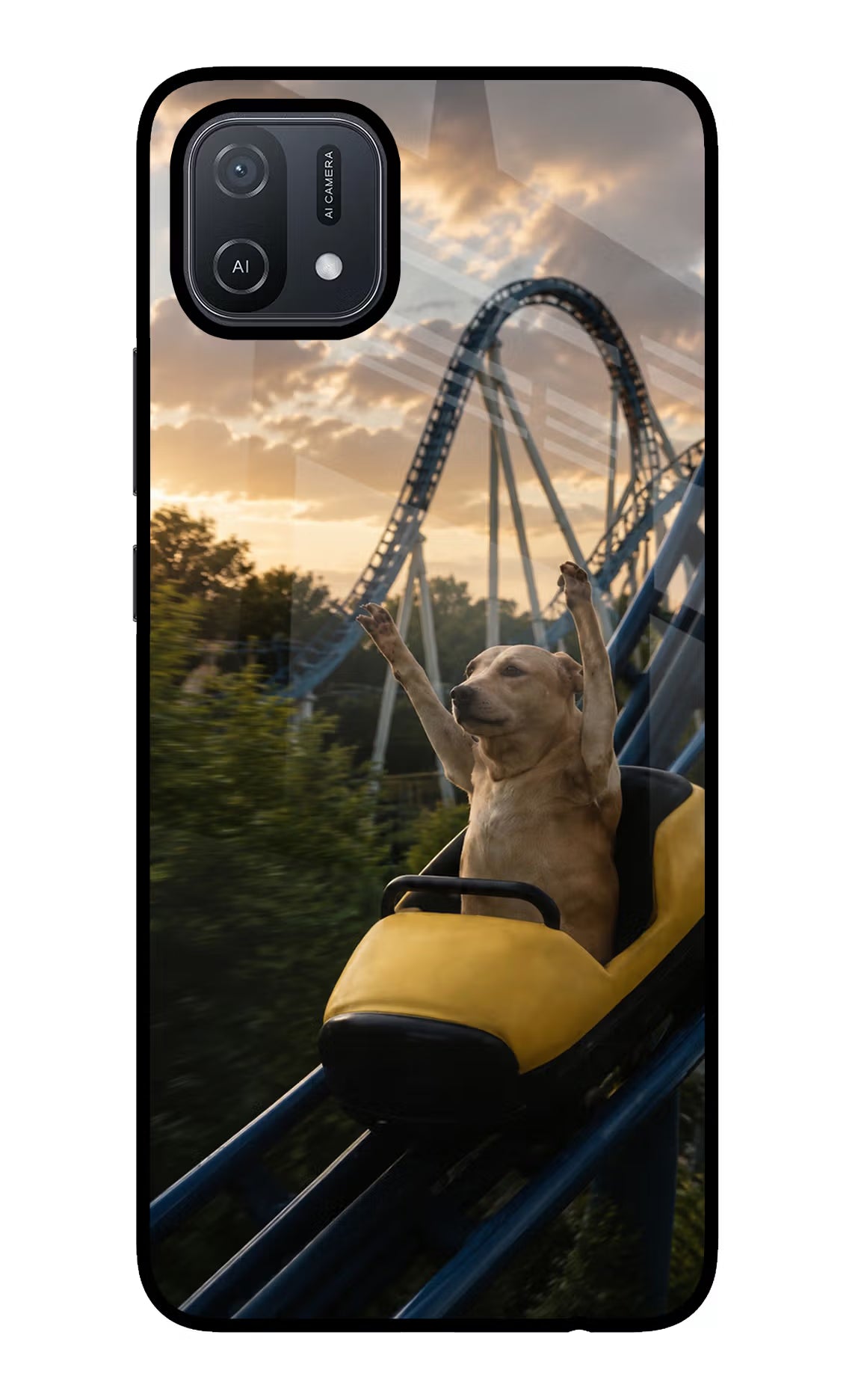 Rollercoaster Dog Oppo A16 Glass Case