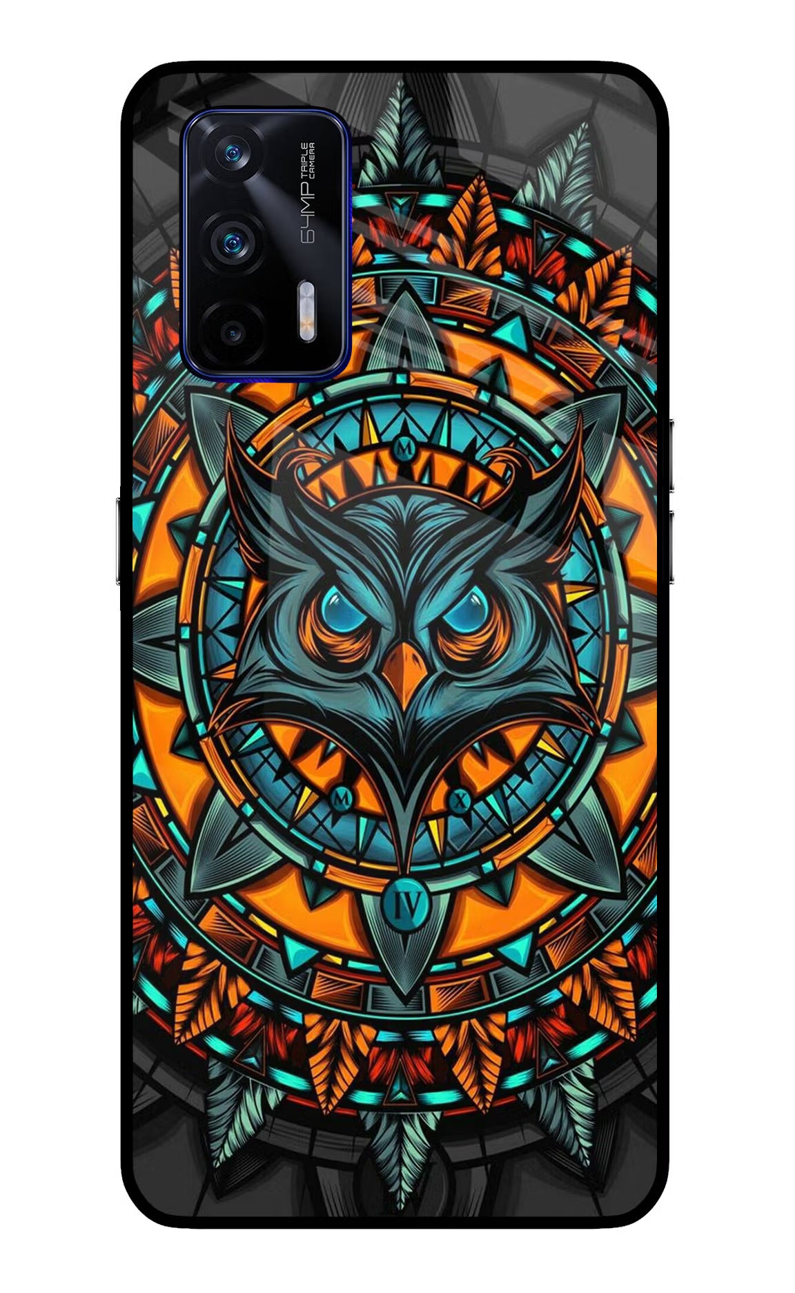 Angry Owl Art Realme GT 5G Glass Case Back Cover by Casekaro