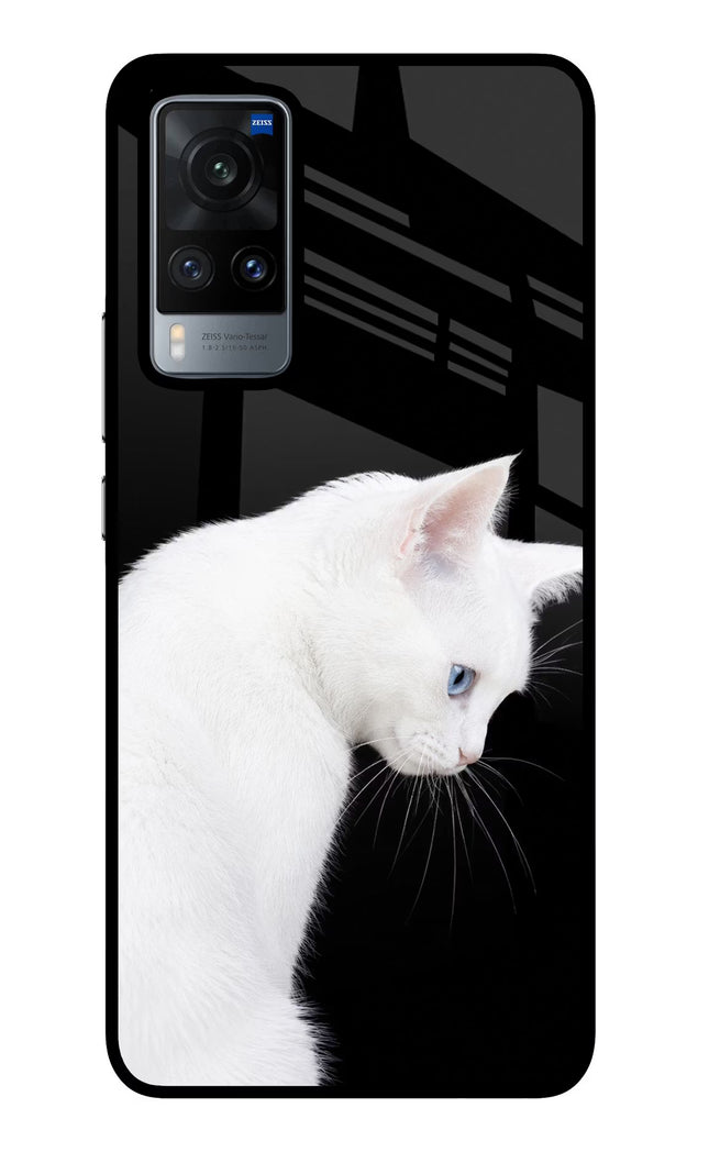 Snow Gaze Vivo X60 Glass Case