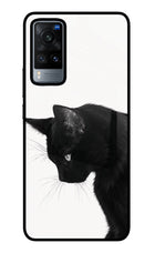 Shadow Gaze Vivo X60 Glass Case