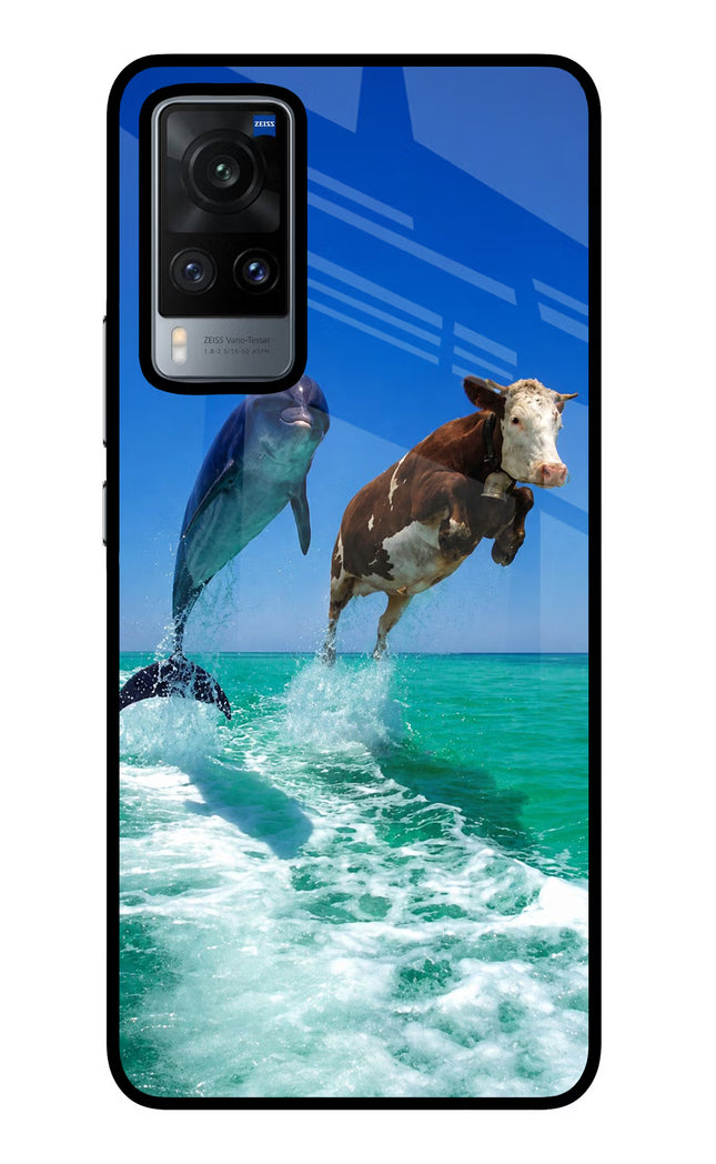 Dolphin vs Cow Vivo X60 Glass Case
