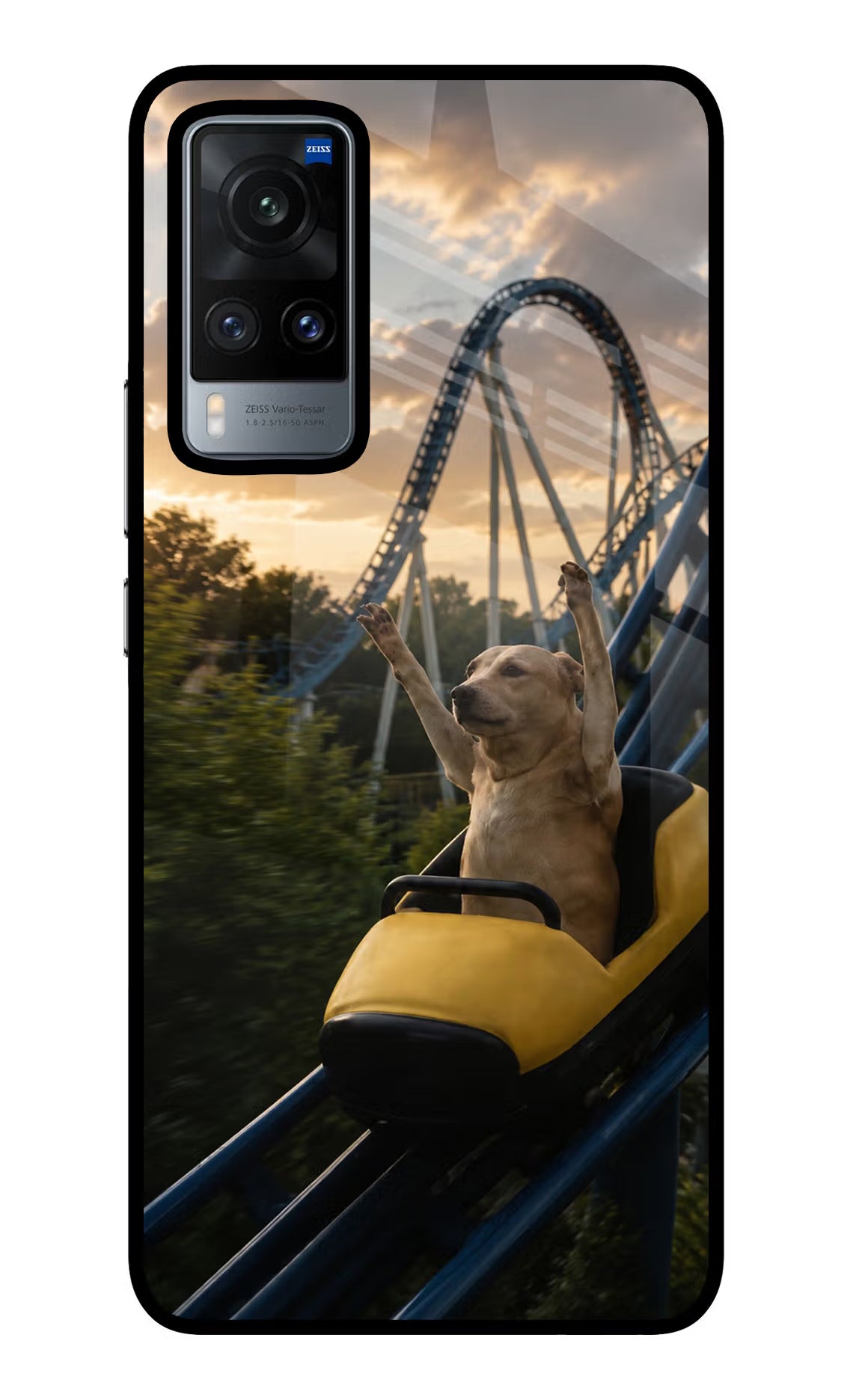 Rollercoaster Dog Vivo X60 Glass Case