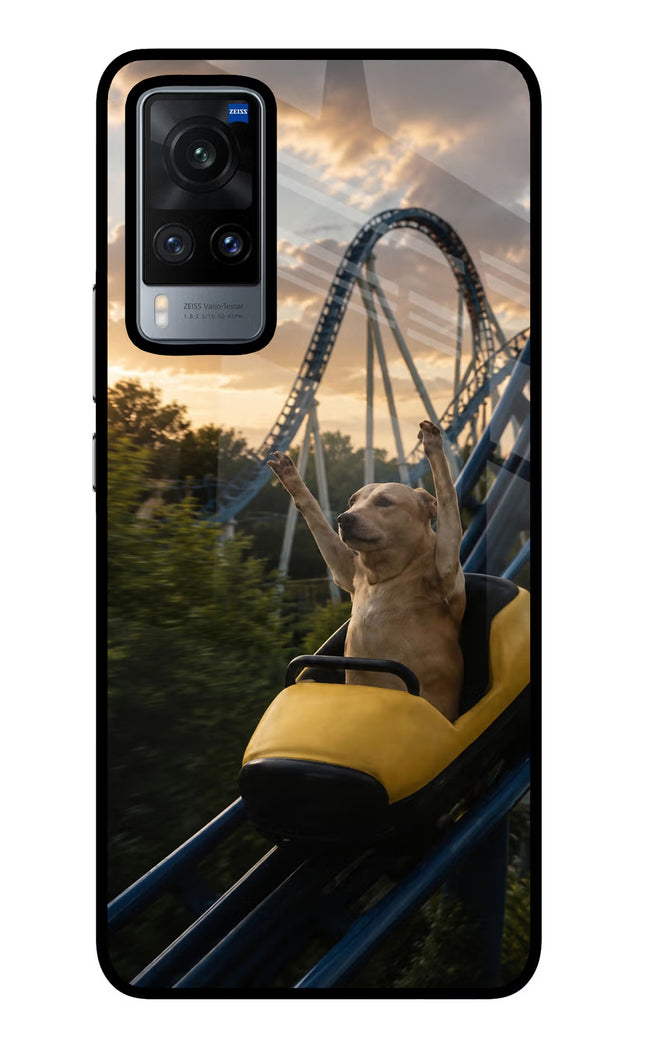 Rollercoaster Dog Vivo X60 Glass Case