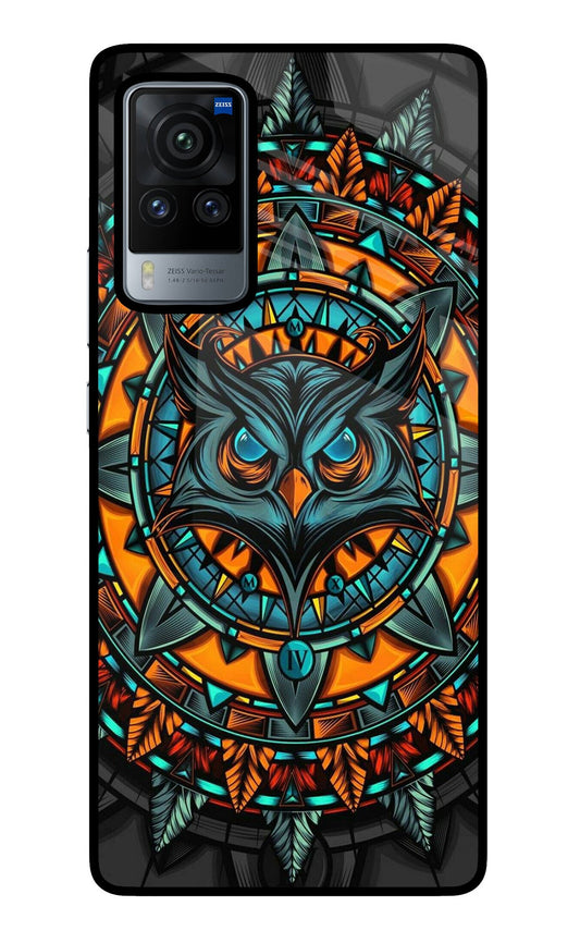Angry Owl Art Vivo X60 Pro Glass Case