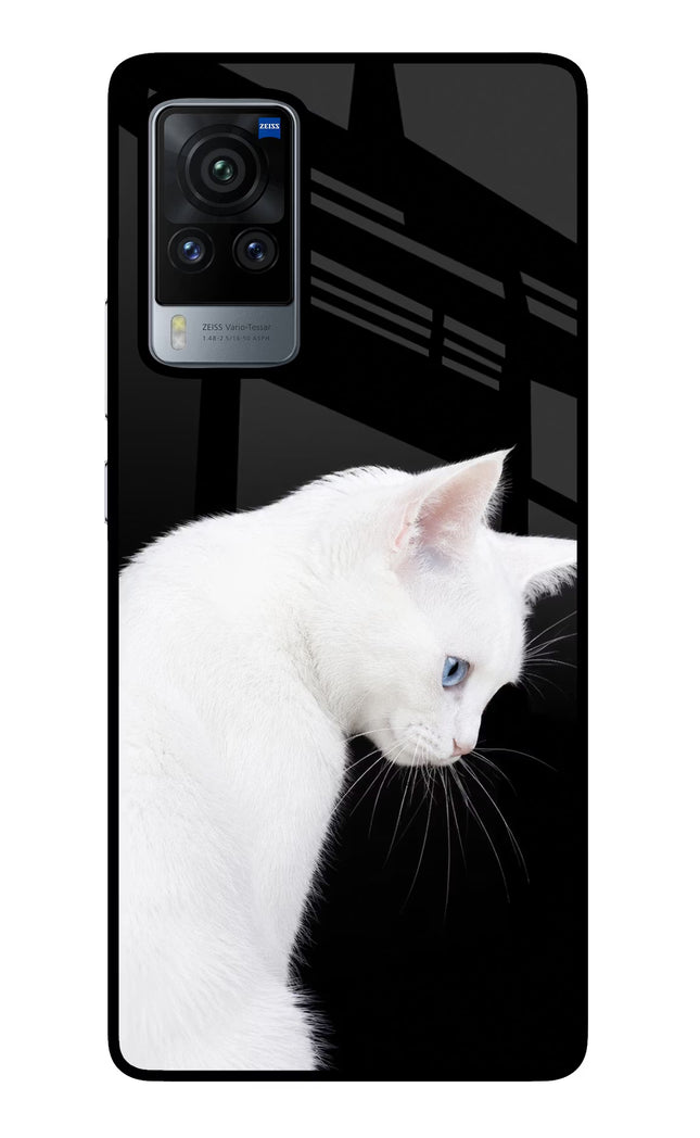Snow Gaze Vivo X60 Pro Glass Case