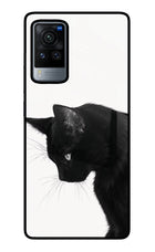 Shadow Gaze Vivo X60 Pro Glass Case