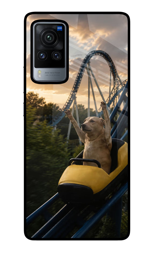 Rollercoaster Dog Vivo X60 Pro Glass Case