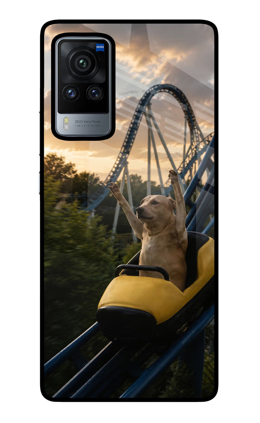 Rollercoaster Dog Vivo X60 Pro Back Cover, Glass case