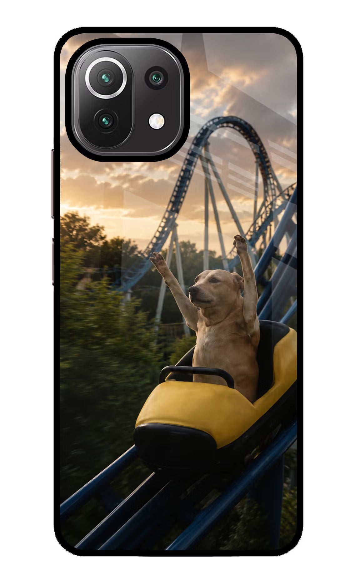 Rollercoaster Dog Mi 11 Lite NE 5G Glass Case