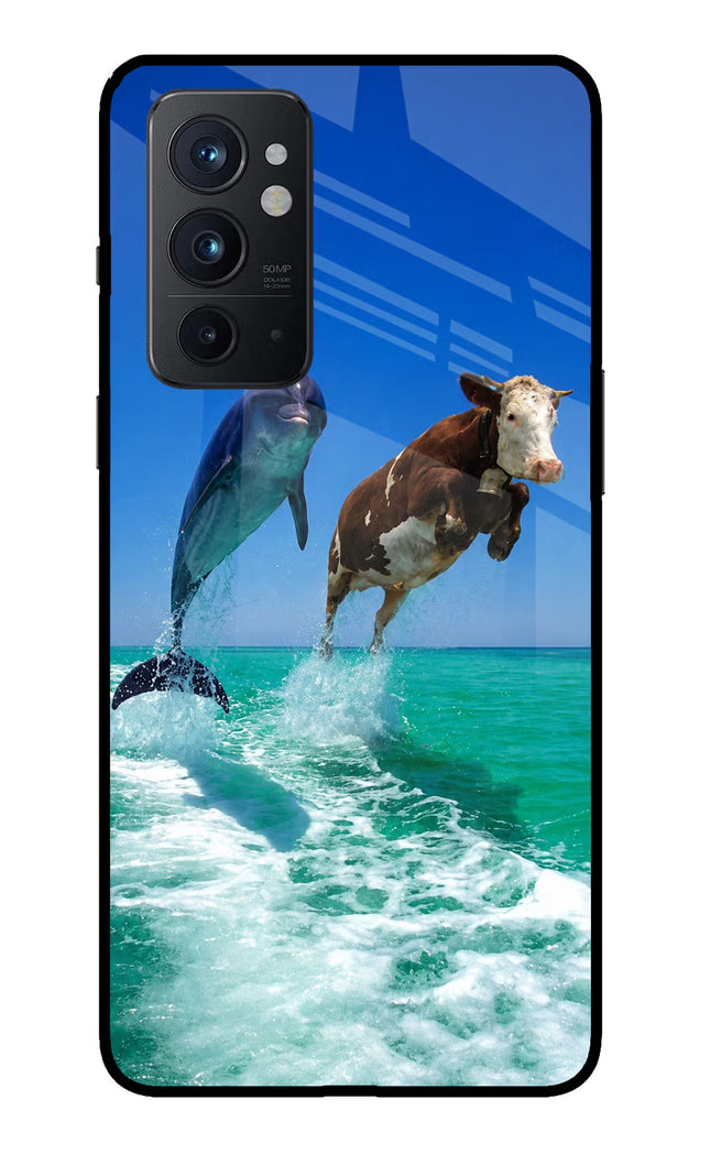Dolphin vs Cow Oneplus 9RT Glass Case