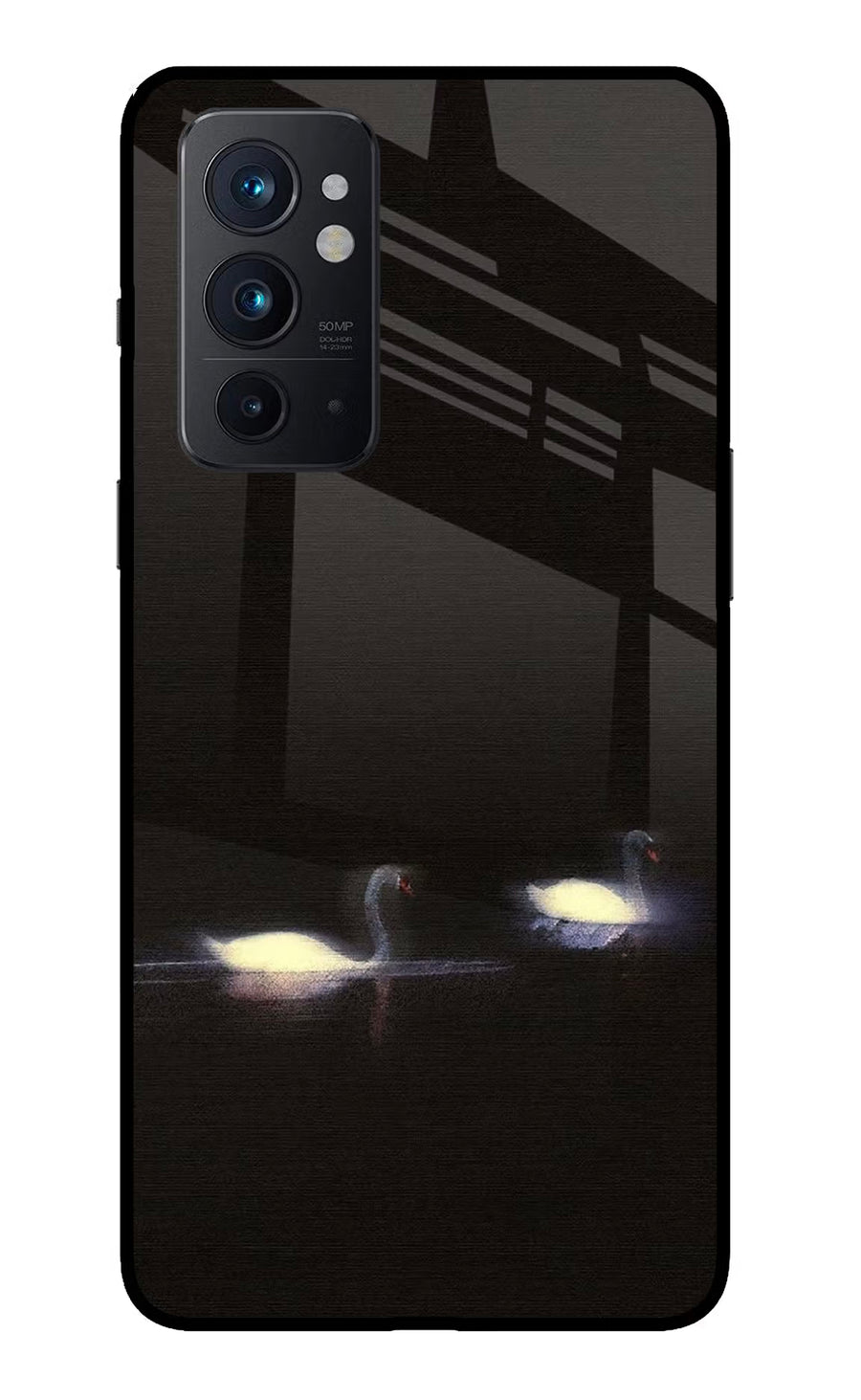 Silent Swans Oneplus 9RT Back Cover, Glass case