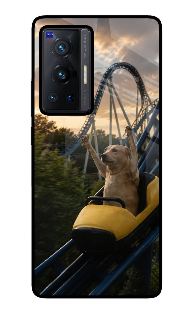 Rollercoaster Dog Vivo X70 Pro Glass Case
