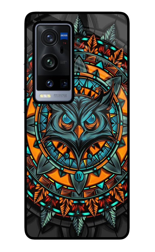 Angry Owl Art Vivo X60 Pro+ Glass Case