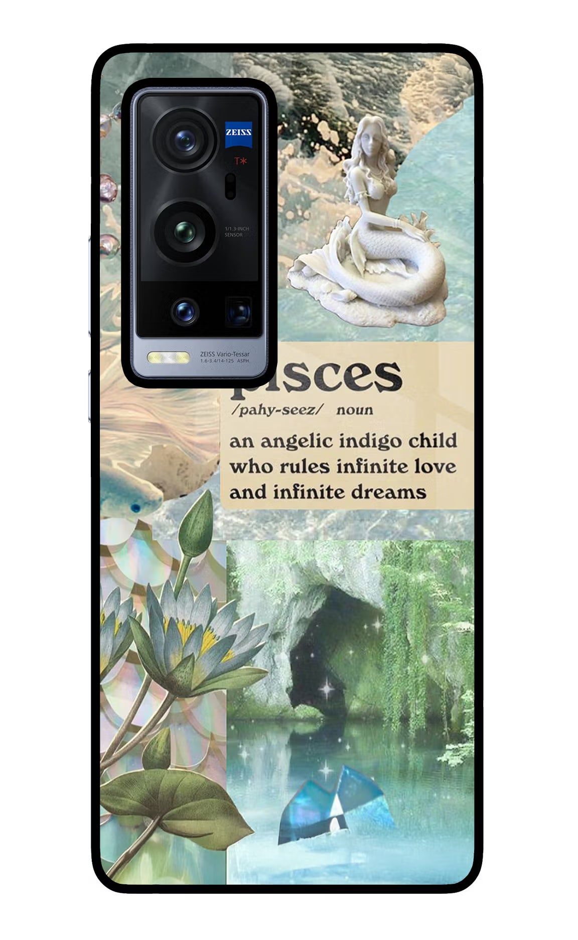 Pisces Zodiac Vivo X60 Pro+ Glass Case Back Cover by Casekaro