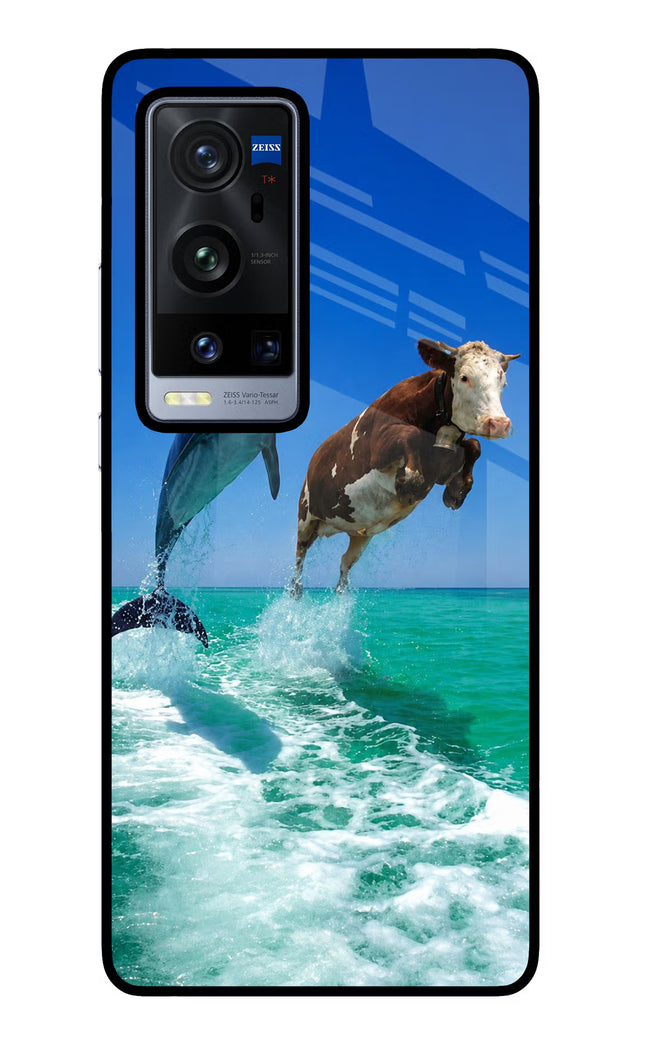 Dolphin vs Cow Vivo X60 Pro+ Glass Case
