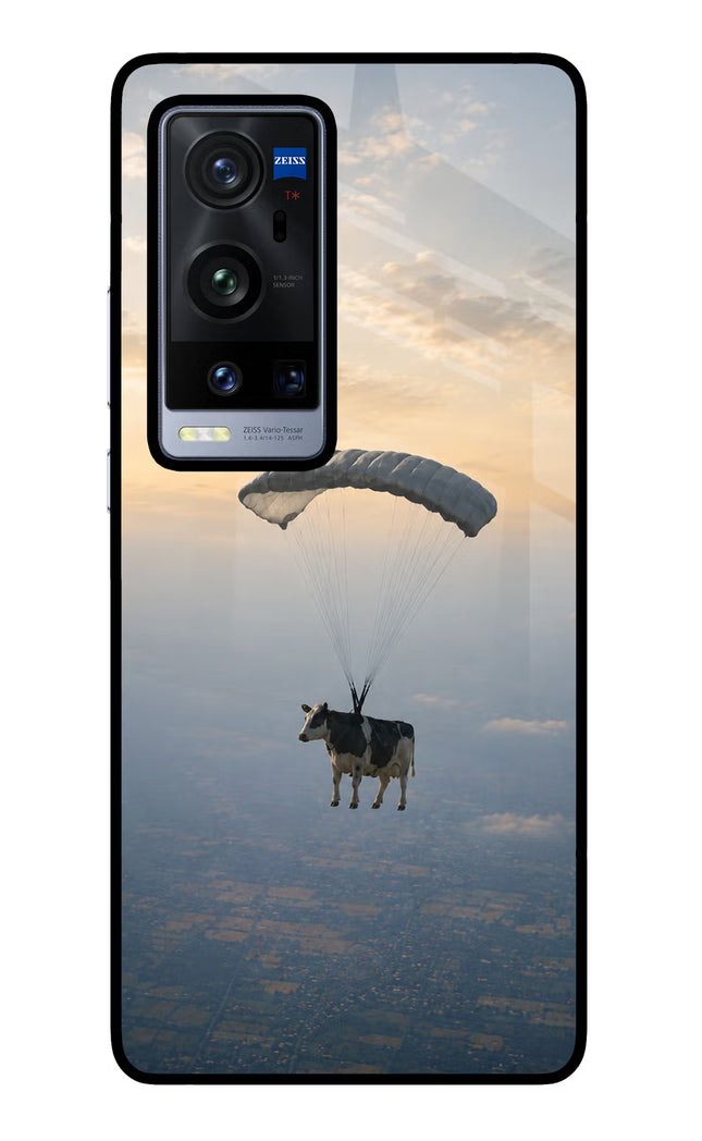 Skydiving Cow Vivo X60 Pro+ Glass Case